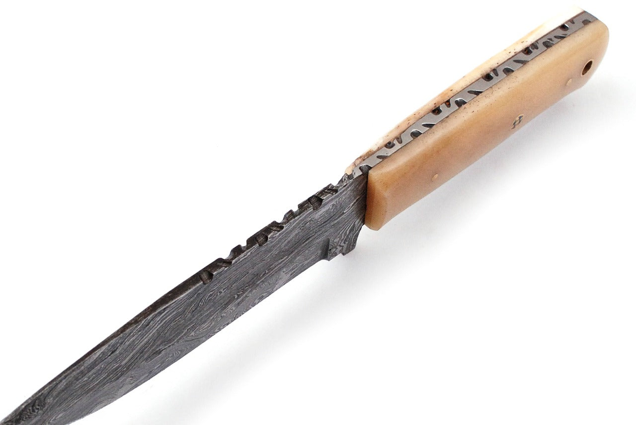 8.5" Custom Handmade Forged Damascus Steel Hunting Fixblade knife Camel Bone Handle Come With Genuine Leather Sheath FS120